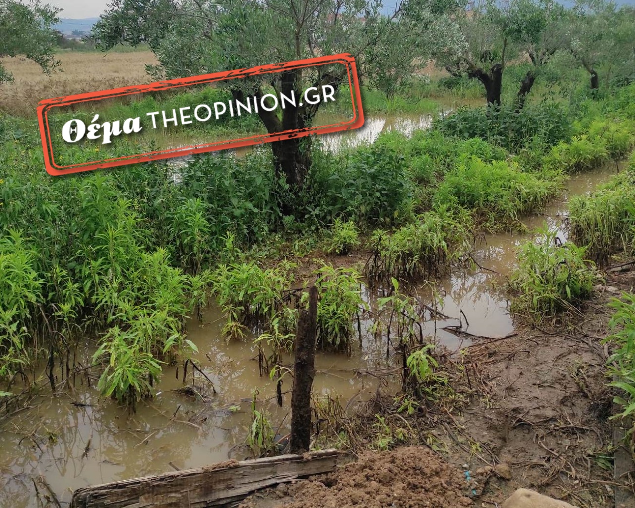 Βασιλικά Θεσσαλονίκης: Εξώδικο πληγέντων σε Δήμο Θέρμης και Περιφέρεια Κεντρικής Μακεδονίας