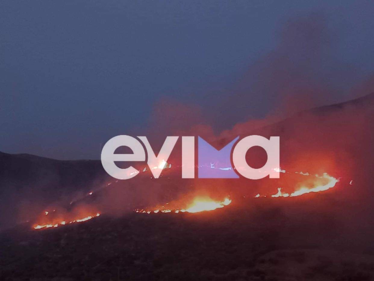 Μεγάλη φωτιά στην Εύβοια – Καίει κοντά σε εργοστάσιο της ΔΕΗ (ΦΩΤΟ – VIDEO)