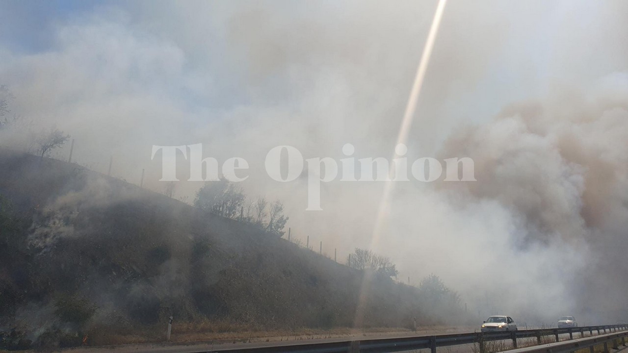 Θεσσαλονίκη: Πυρκαγιά στον Προφήτη – Σηκώθηκαν ελικόπτερα – Κλειστή η Εγνατία Οδός (ΦΩΤΟ-VIDEO)