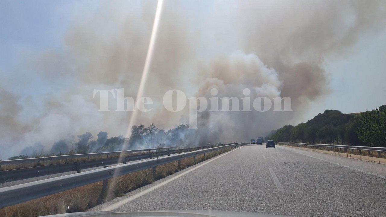 Δήμαρχος Βόλβης στο TheOpinion: Υπό έλεγχο η φωτιά – Δεν απειλείται ο οικισμός στον Προφήτη