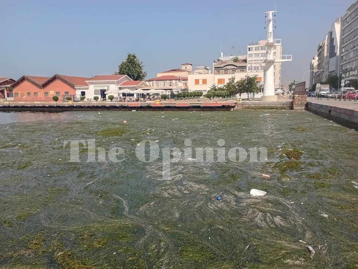 Ζέχνει και σήμερα ο Θερμαϊκός (ΦΩΤΟ)