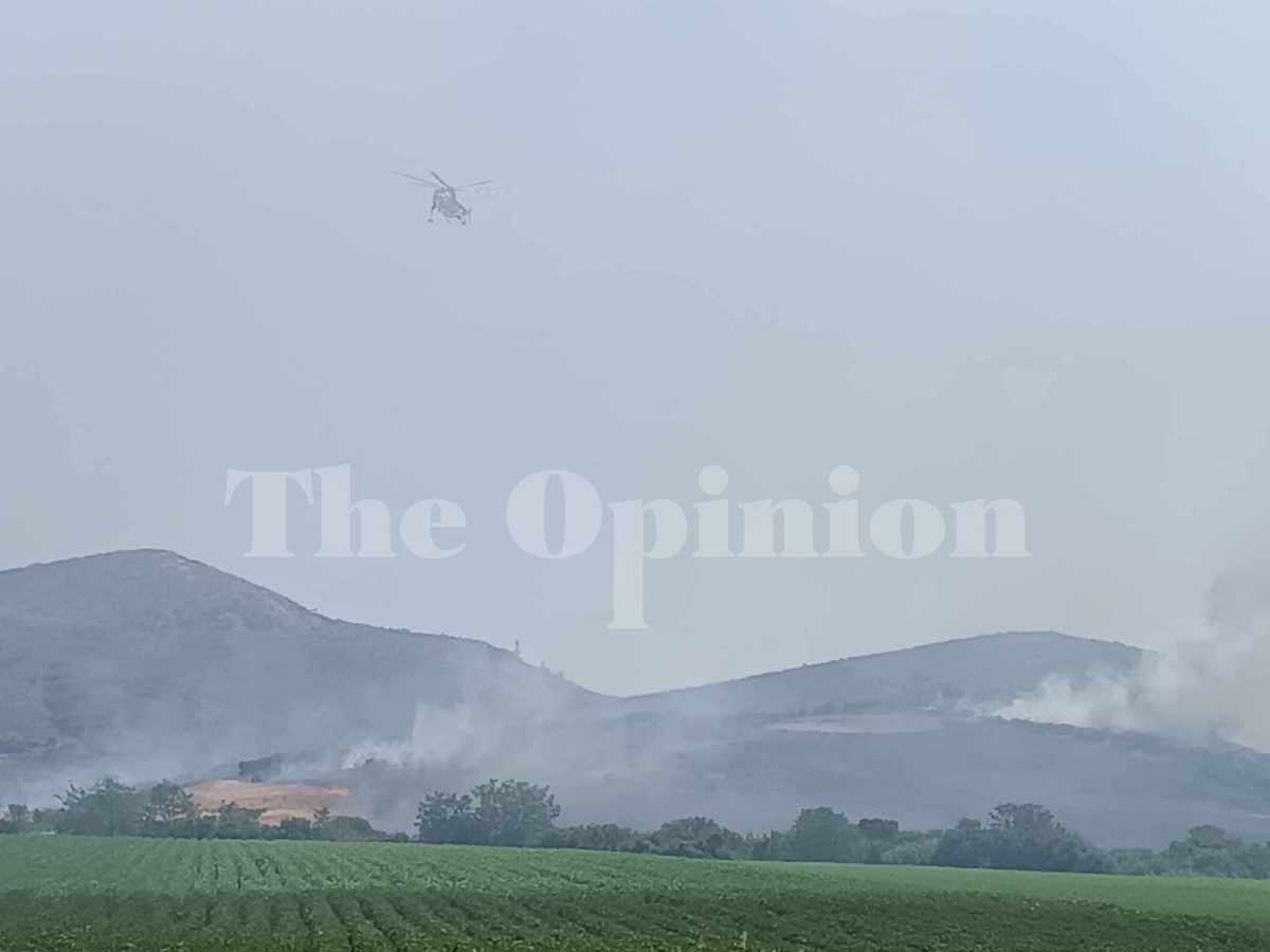 Φωτιά στη Μαγνησία: Ενεργό πύρινο μέτωπο στο Αερινό – Επιχερούν και εναέρια μέσα (ΦΩΤΟ-VIDEO)