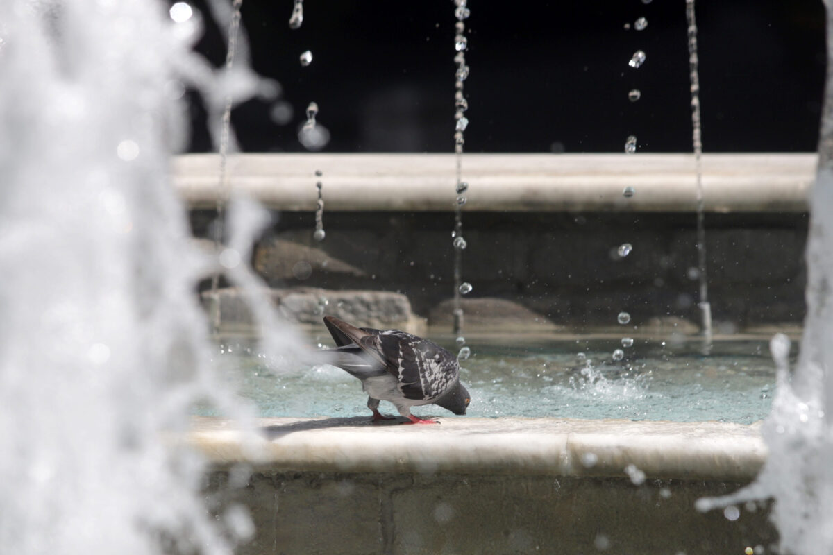 Έκτακτα μέτρα προστασίας των εργαζομένων από τον καύσωνα