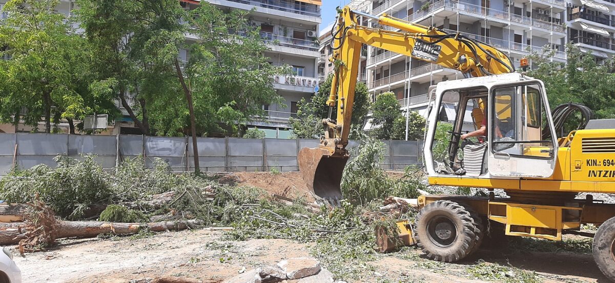 «Οικολογία-Αλληλεγγύη»: Καταγγέλλει παράνομη κοπή δέντρων στη Θεσσαλονίκη (ΦΩΤΟ)