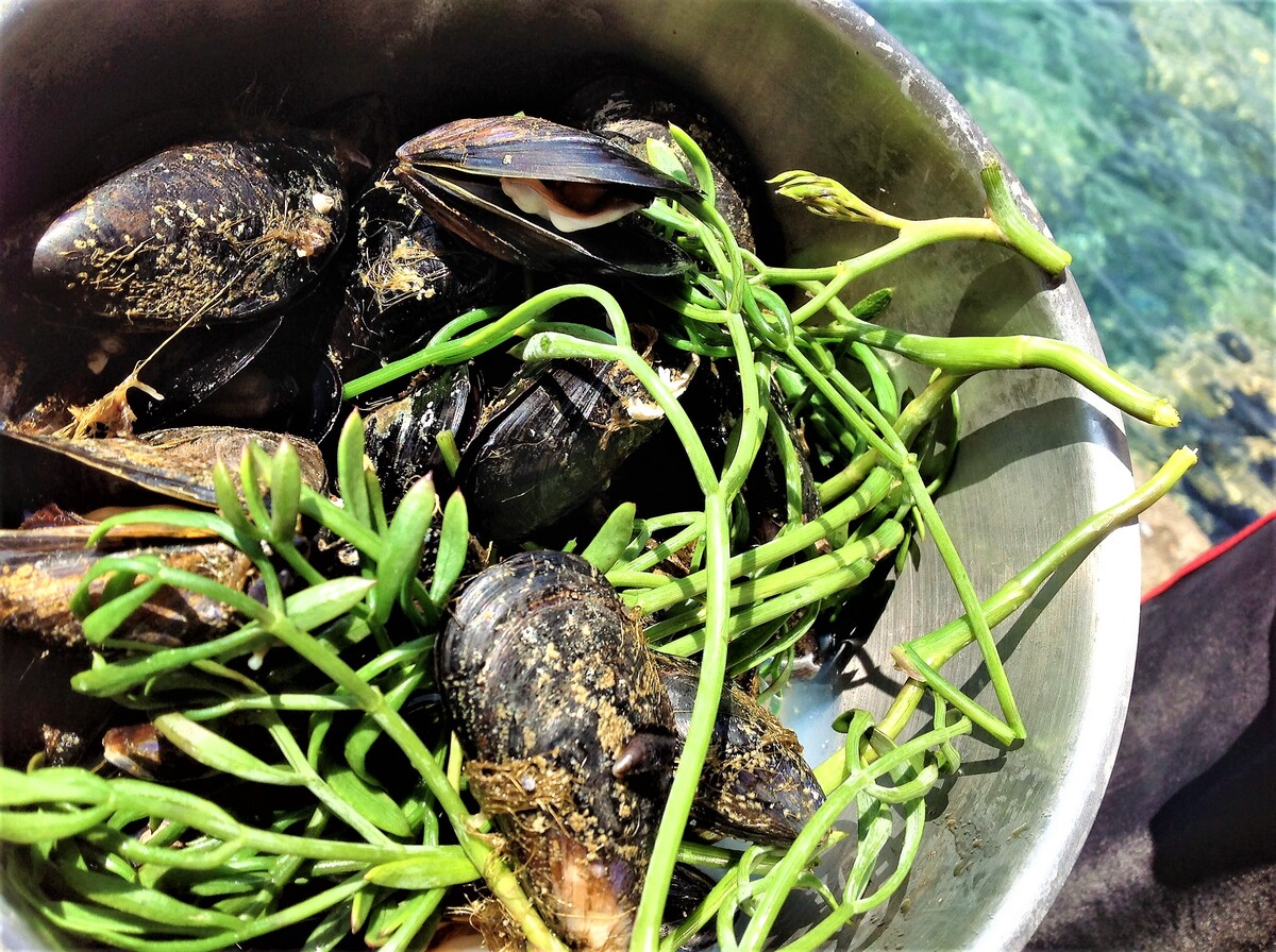 Τραγωδία στην Τουρκία: Δύο παιδιά πέθαναν μετά από κατανάλωση μυδιών