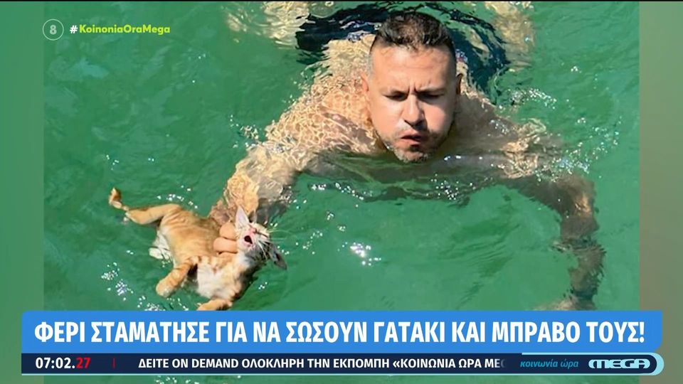 Σαλαμίνα: Πλήρωμα ferry boat βούτηξε στη θάλασσα για να σώσει γατάκι (VIDEO)