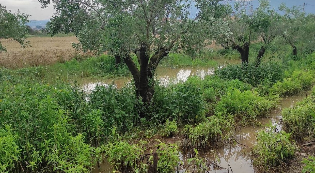 «Αγανακτισμένοι οι κάτοικοι των Βασιλικών στην Θεσσαλονίκη»