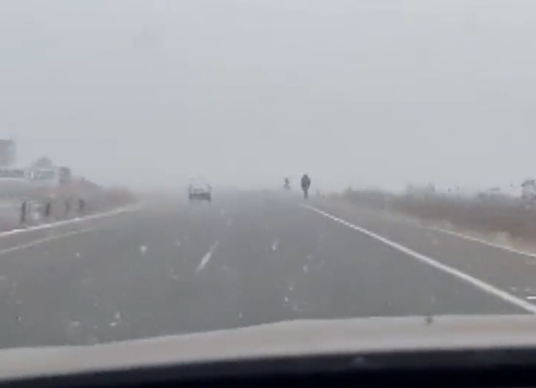 Νότια Αφρική: Είδαν ξανά «άσπρη μέρα» μετά από 11 χρόνια