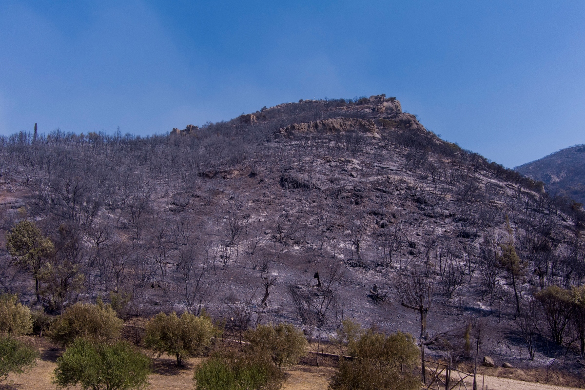 Υψηλός κίνδυνος εκδήλωσης πυρκαγιάς αύριο στον Έβρο