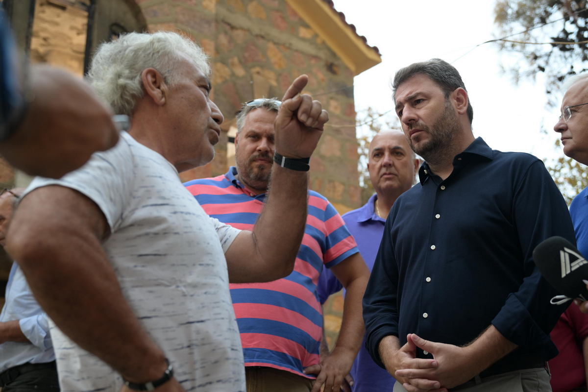 Ανδρουλάκης για πυρκαγιές: «Βατερλώ» της κυβέρνησης η ασφάλεια και η πολιτική προστασία (ΦΩΤΟ)