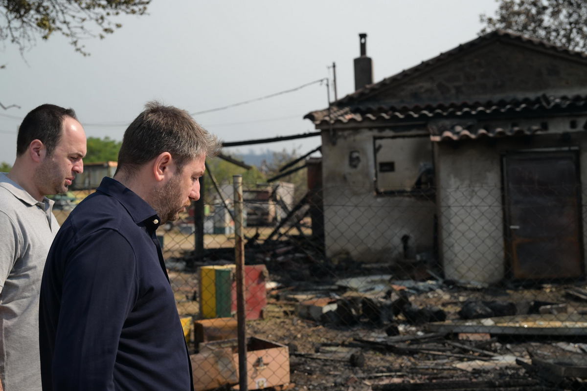 Επίσκεψη Ανδρουλάκη στις πυρόπληκτες περιοχές της Ροδόπης