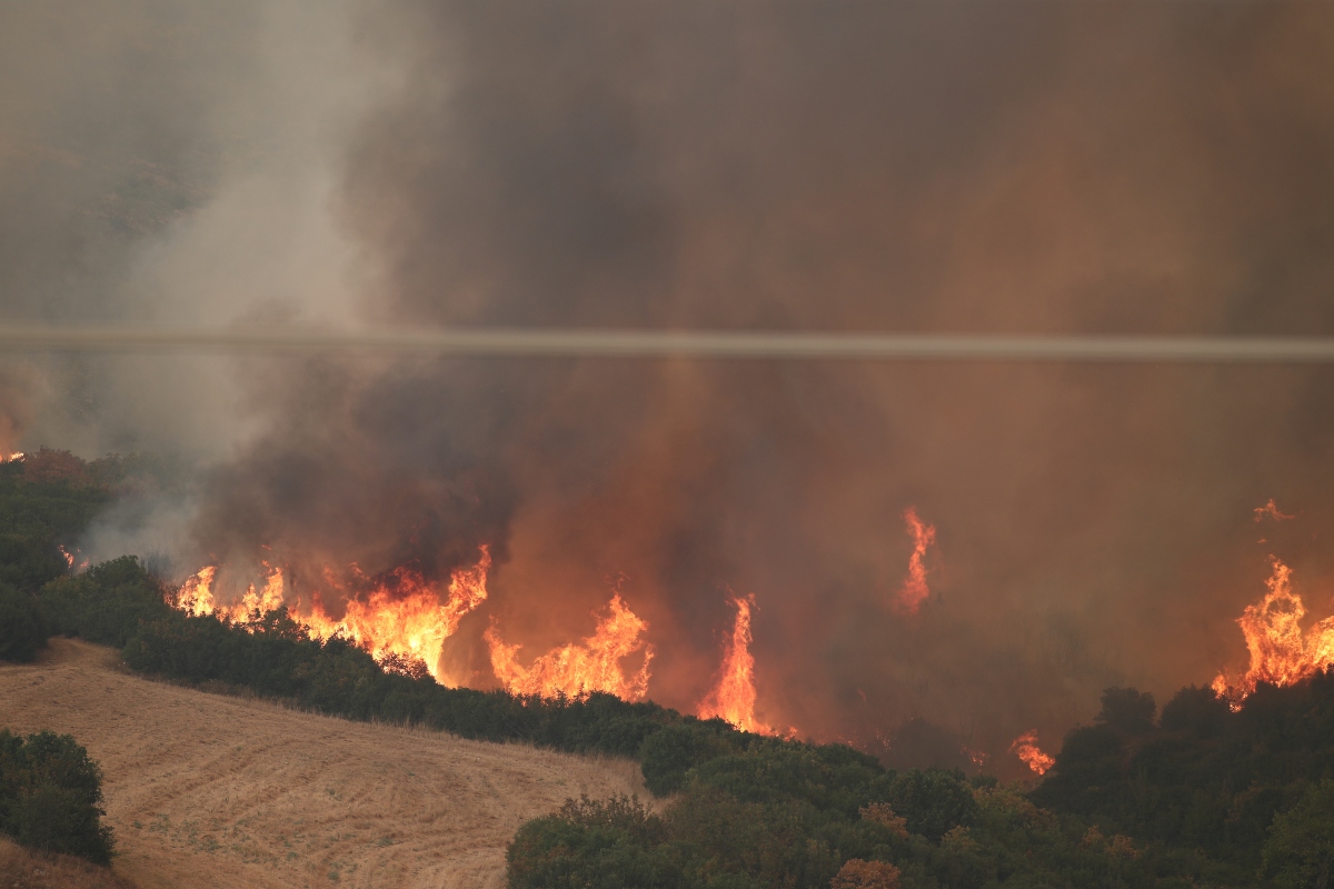 Φωτιές: Το Αστεροσκοπείο απαντά στο υπουργείο Περιβάλλοντος – «Χρέος μας να ενημερώνουμε»