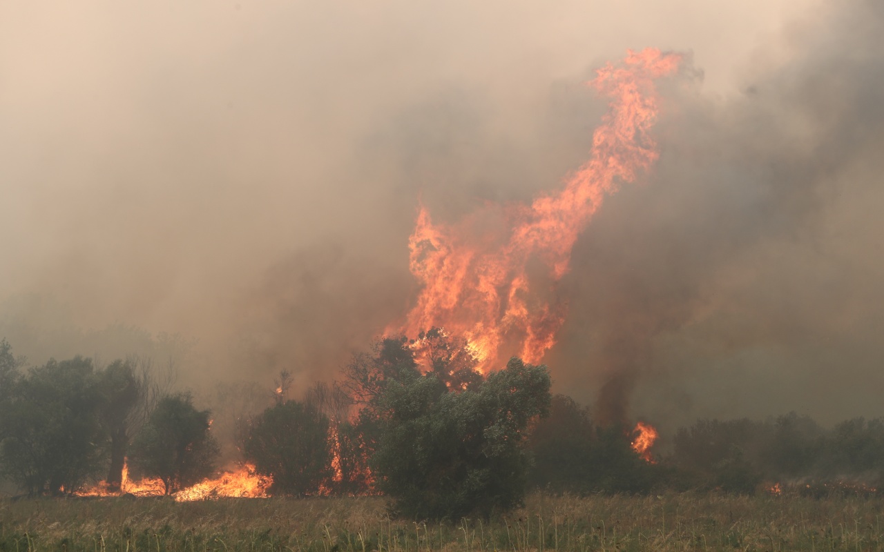 Φωτιές στον Έβρο: 24χρονος έκανε «φύλλο και φτερό» σπίτι που εκκενώθηκε