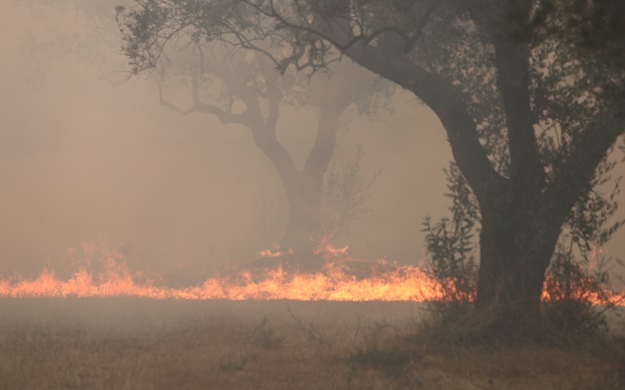 ΣΥΡΙΖΑ: Με επιθέσεις στους επιστήμονες η κυβέρνηση Μητσοτάκη προσπαθεί να κρύψει τις ευθύνες της