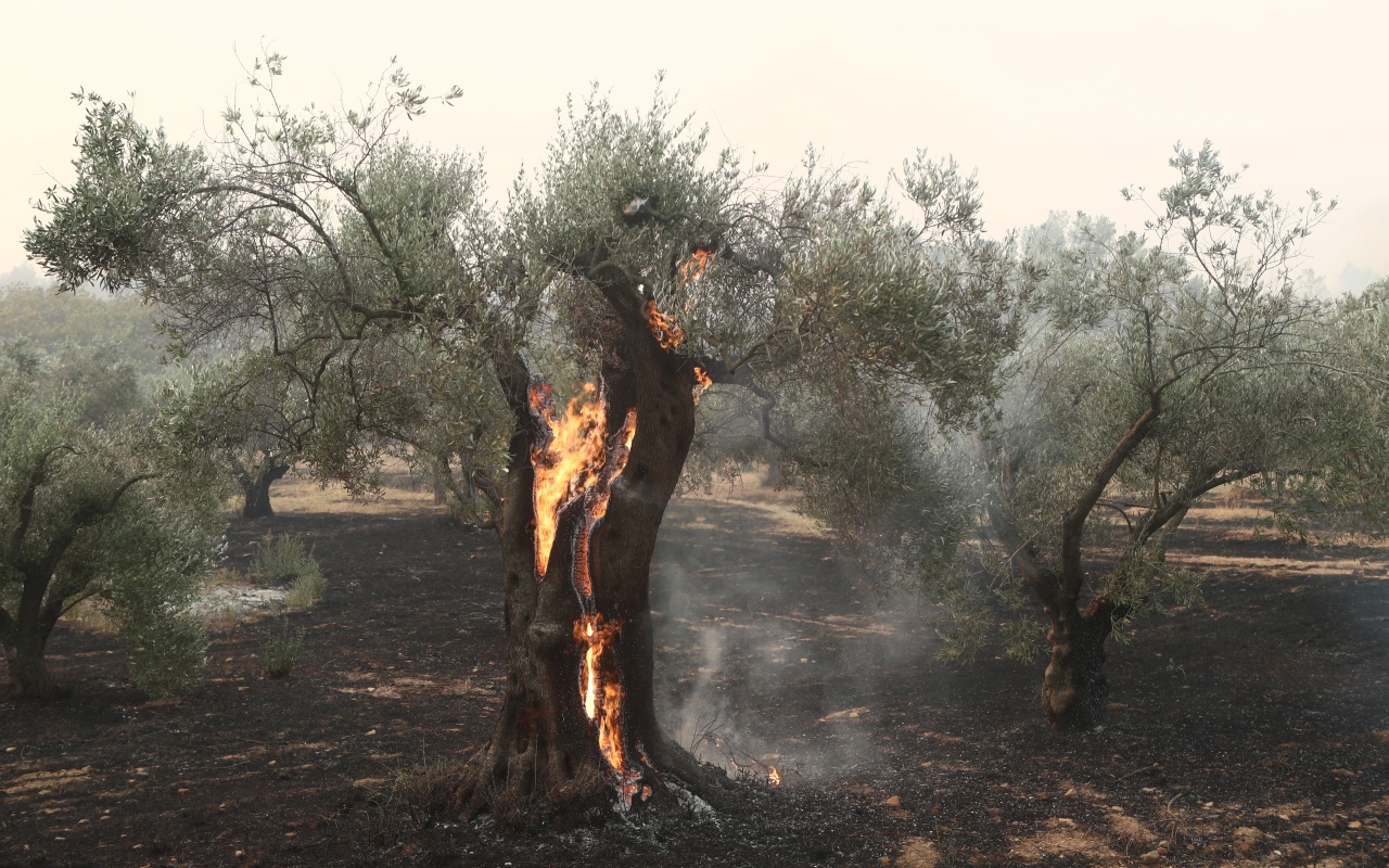 Διεκόπη η κυκλοφορία στην Εγνατία οδό Κομοτηνής – Αλεξανδρούπολης