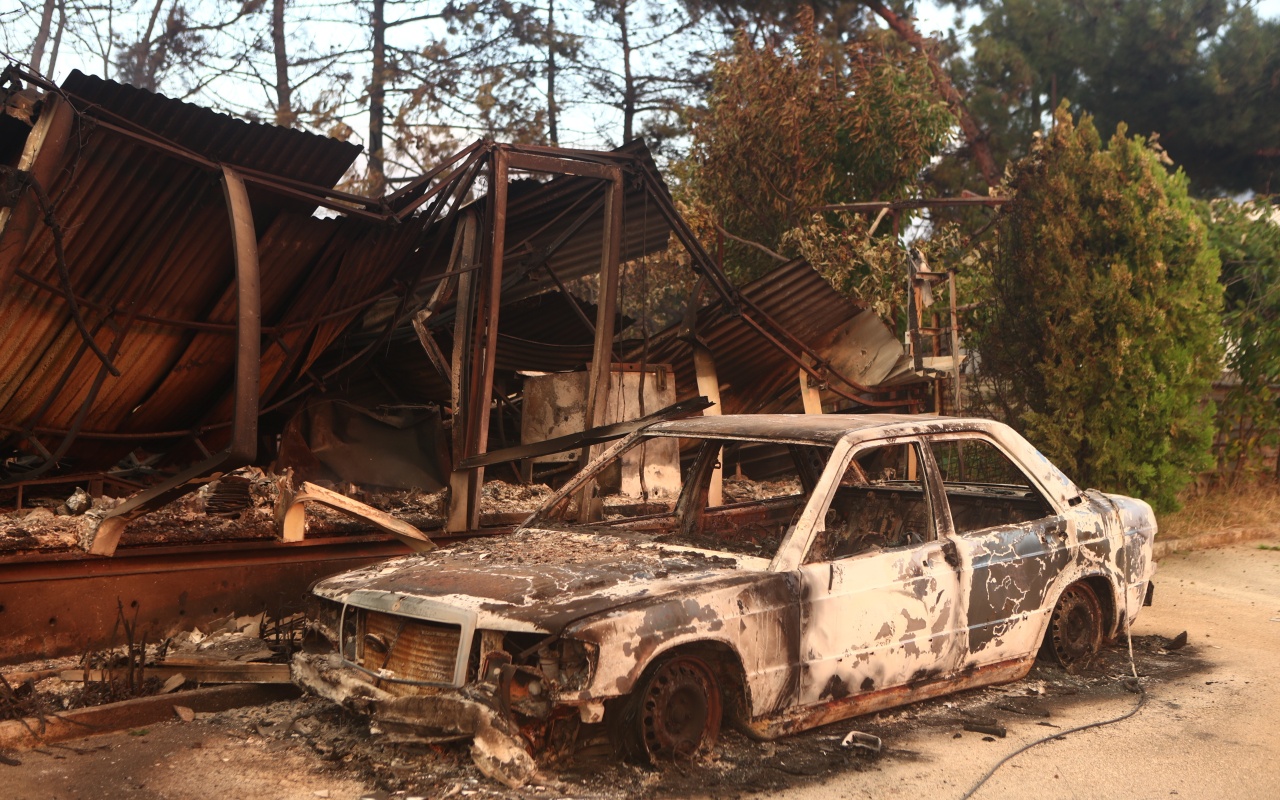 Αποκαρδιωτικές εικόνες από τη φωτιά στην Αλεξανδρούπολη (ΦΩΤΟΡΕΠΟΡΤΑΖ)