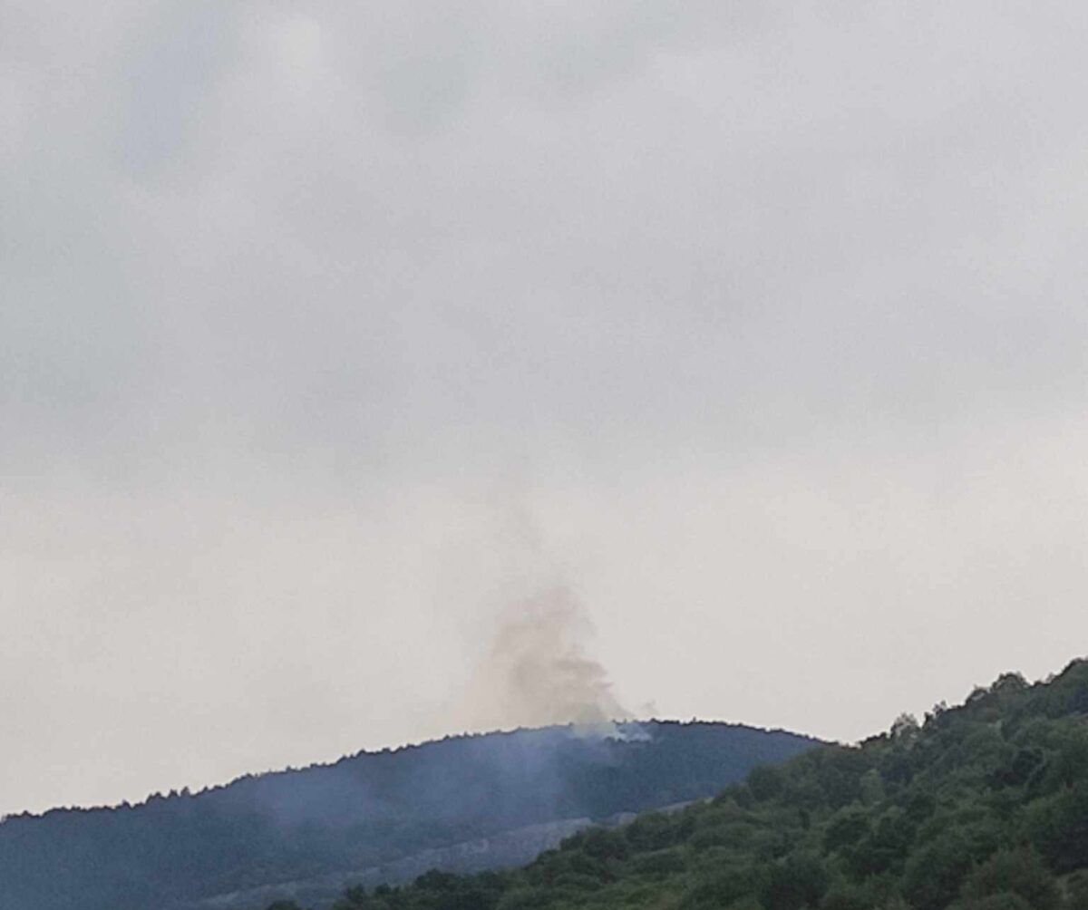 Νέος συναγερμός στην Πυροσβεστική-  Στις φλόγες δασική έκταση στον Έβρο