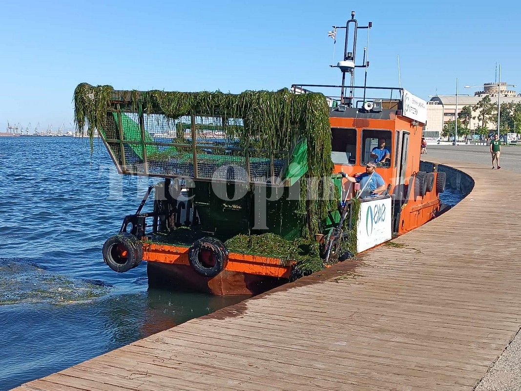 Θεσσαλονίκη: Επί το έργον η Αλκίππη – Προσπάθεια για να καθαρίσει ο Θερμαϊκός (ΦΩΤΟ+VIDEO)