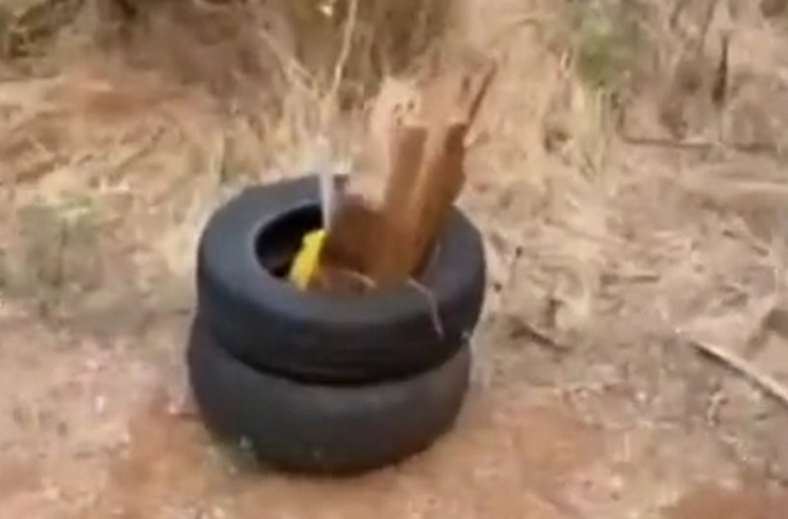 Εντοπίστηκε καύσιμη ύλη σε περιοχή της Αλεξανδρούπολης (VIDEO)