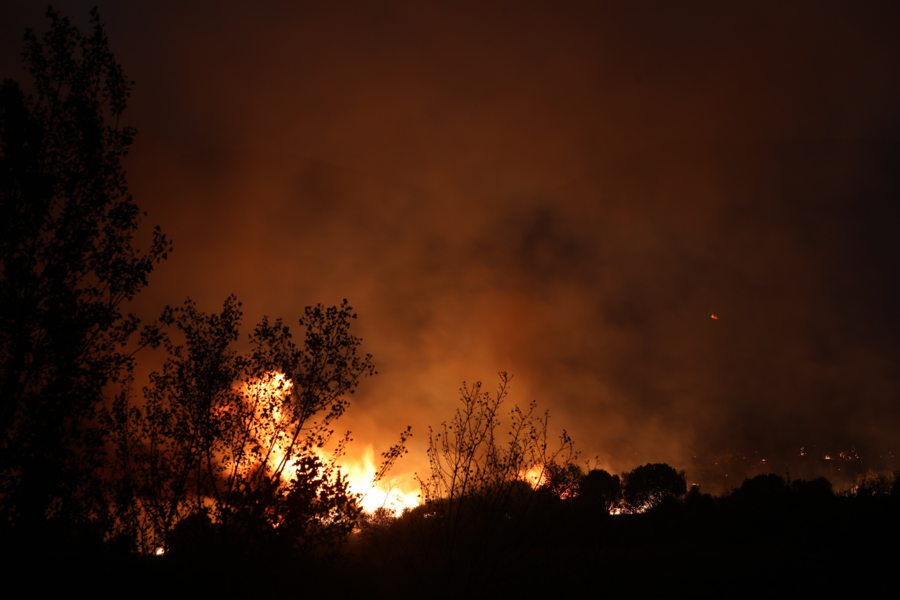 Απελπιστική η κατάσταση στον Έβρο – Μάχη με τα πύρινα μέτωπα (VIDEO)