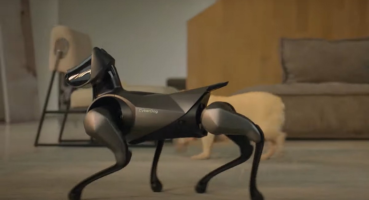 Ο σκύλος του μέλλοντος μπορεί να κάνει… stateboard και να χορεύει μπαλέτο (VIDEO)