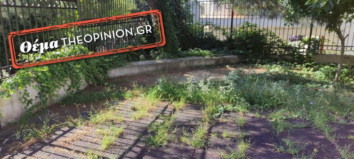 Κρυονέρι: Διάλειμμα μες στα χόρτα και τα κλαδιά για νήπια και προνήπια (ΦΩΤΟ)