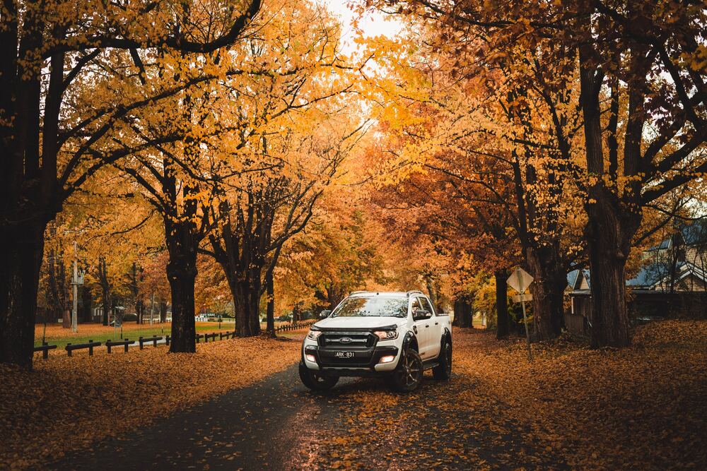 Το Ford Ranger φέρνει μία έκδοση – έκπληξη