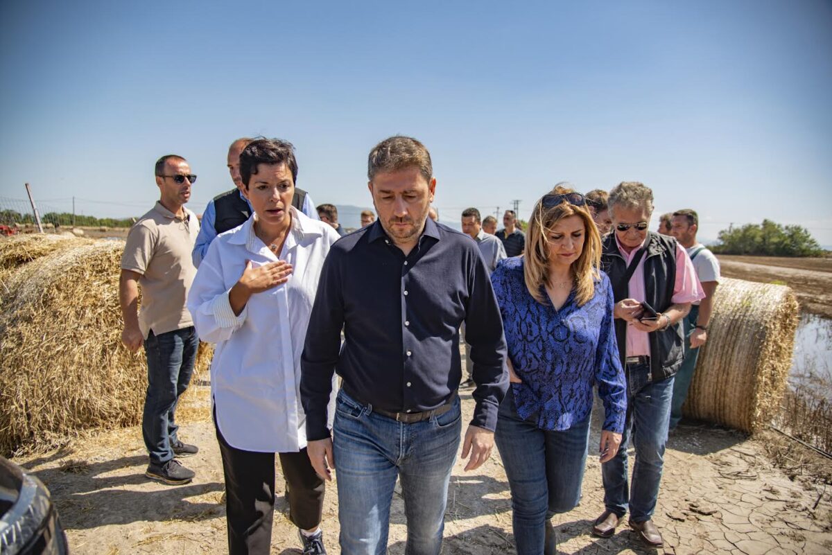 Νίκος Ανδρουλάκης: «Οι ευθύνες της κυβέρνησης και της περιφέρειας είναι πολύ μεγάλες»
