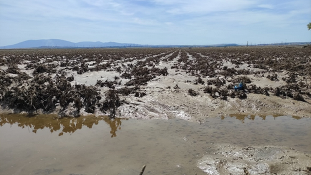 Αυτοψία και δειγματοληψίες στα εδάφη του Κιλελέρ (ΦΩΤΟ)