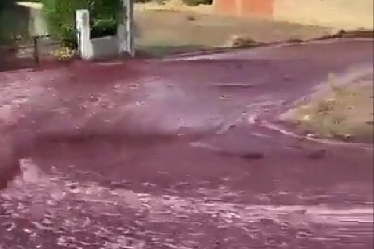 Πόλη στην Πορτογαλία πλημμύρισε από κόκκινο κρασί (VIDEO)