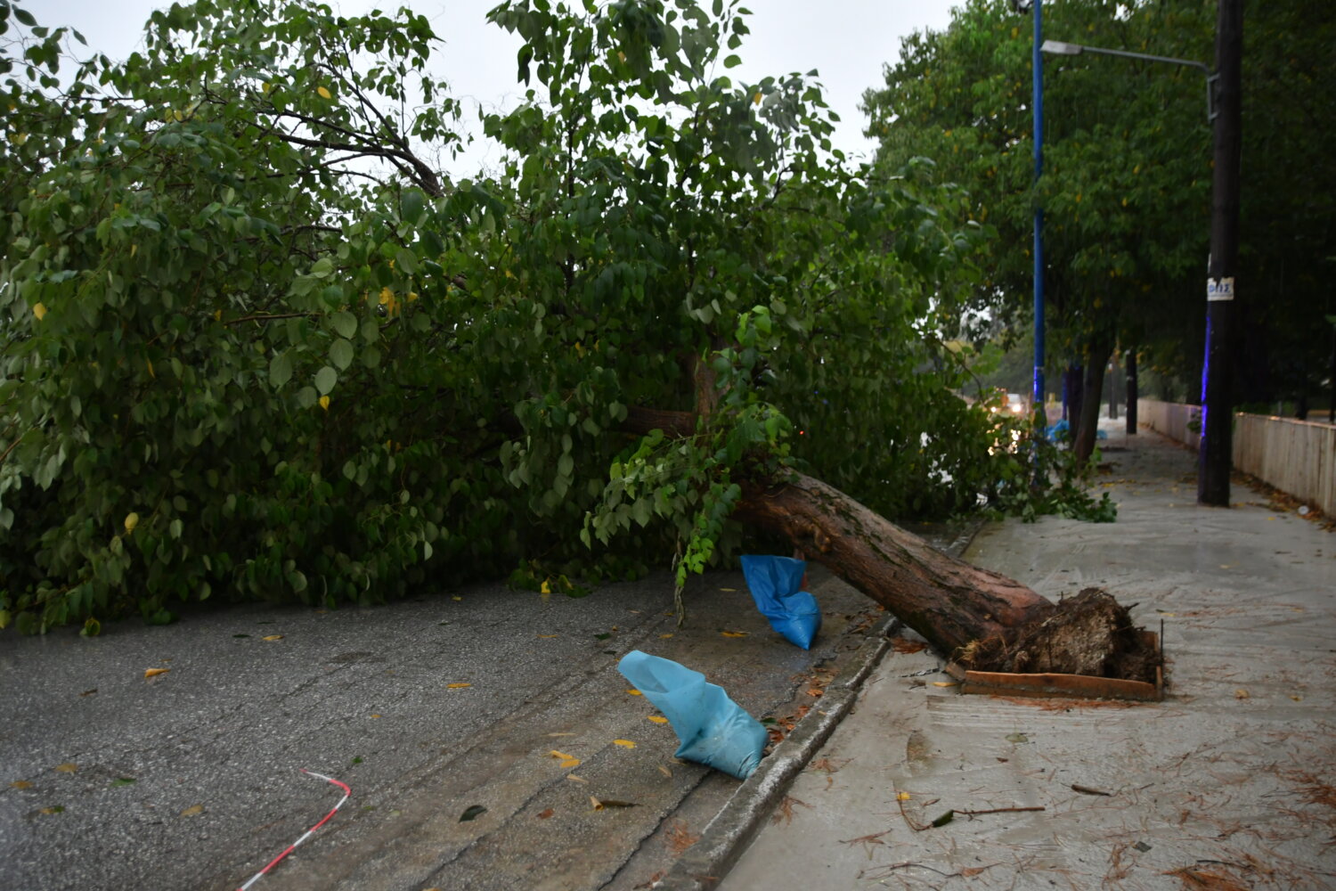 Καιρός: Νέο έκτακτο από την ΕΜΥ – Πού «χτυπά» η κακοκαιρία Daniel