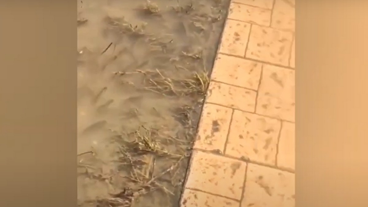 Λάρισα: Ψάρια κολυμπούν στα πεζοδρόμια της Γιάννουλης (VIDEO)