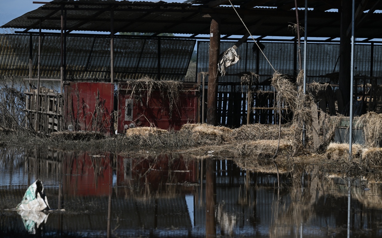 Από αύριο οι αποζημιώσεις στους πληγέντες αγρότες της Θεσσαλίας