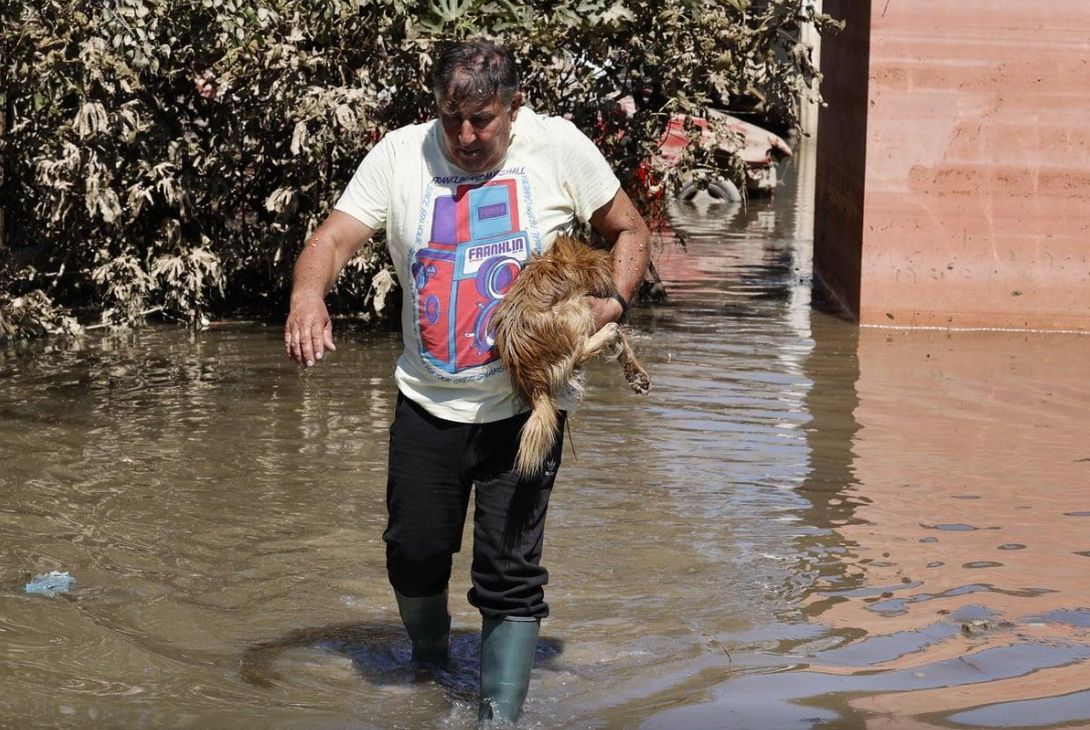 Αποκαρδιωτικές εικόνες από ζώα στην πλημμυρισμένη Θεσσαλία (ΦΩΤΟ+VIDEO)