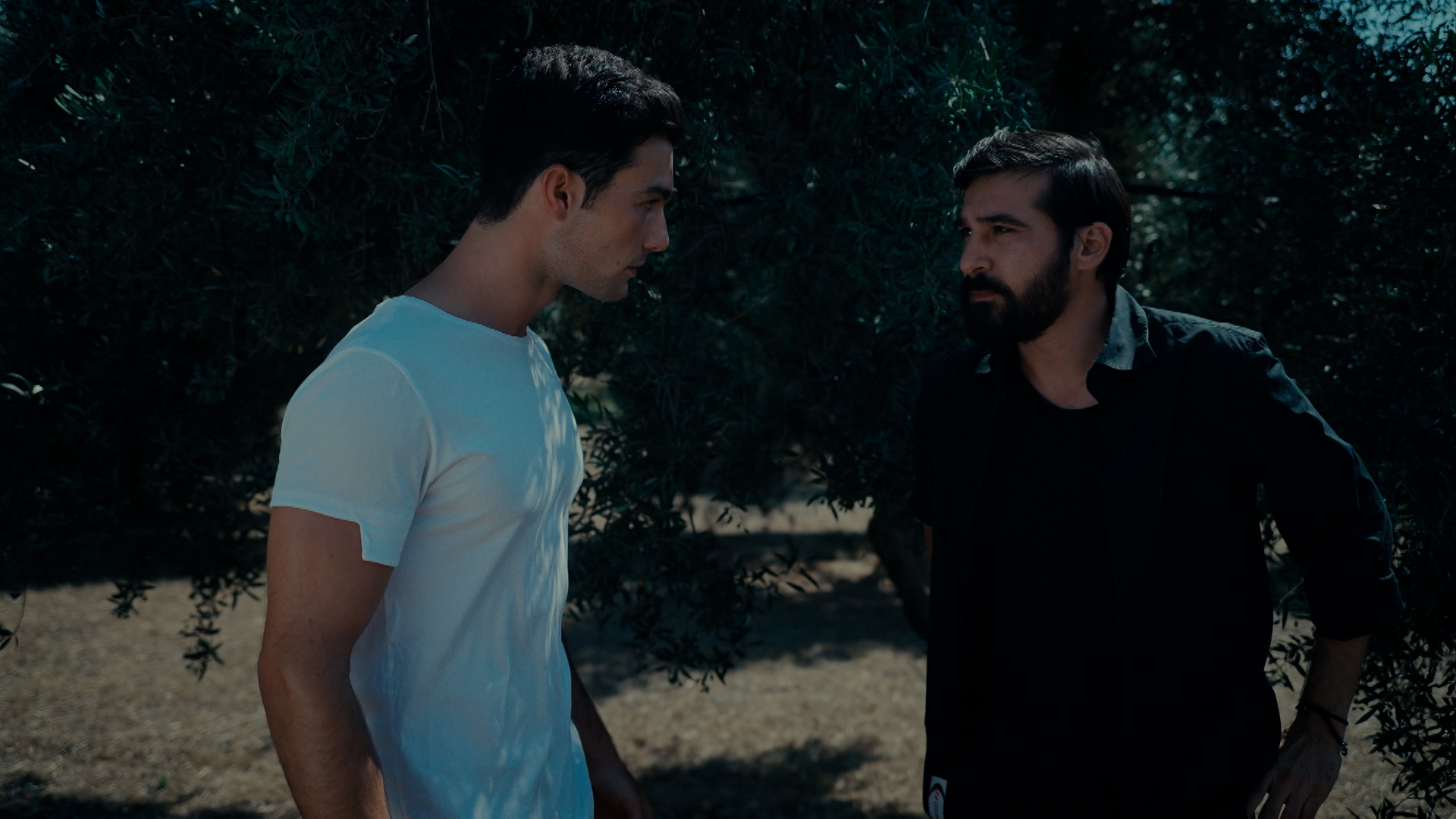 «Η Γη της Ελιάς»: Το καθηλωτικό τρέιλερ της τελευταίας σεζόν (VIDEO)