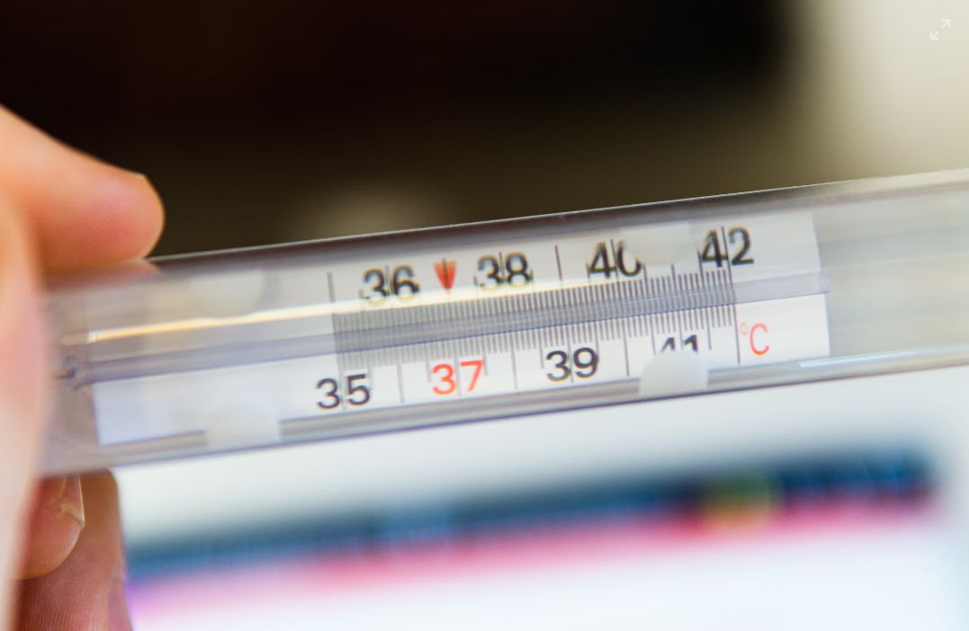 ΠΚΜ: Οδηγίες πρόληψης για τον αιμορραγικό πυρετό Κριμαίας – Κονγκό