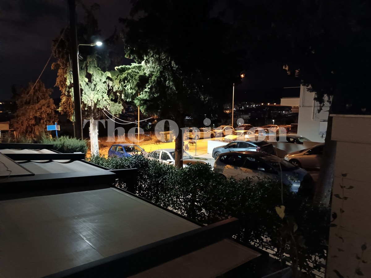 Θεσσαλονίκη: Βγήκαν… βόλτα τα αγριογούρουνα στην Πυλαία (ΦΩΤΟ – VIDEO)