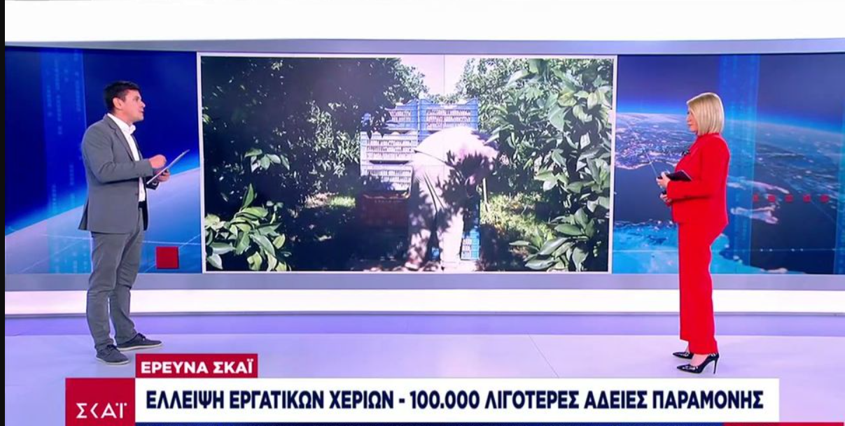 Έλλειψη εργατικών χεριών – Σε απόγνωση οι αγρότες (VIDEO)