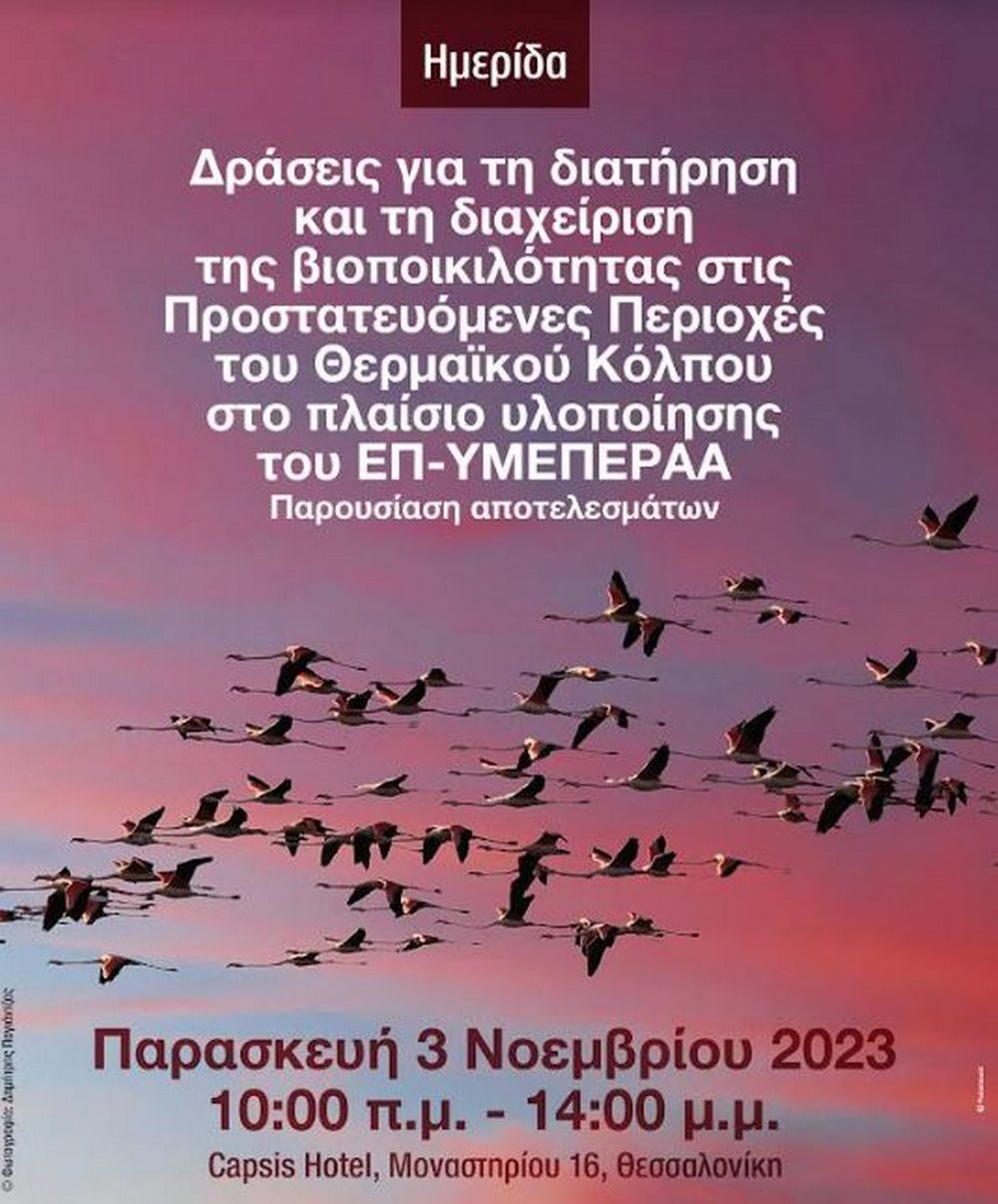 Θερμαϊκός κόλπος: Δράσεις προστασίας και διατήρησης της βιοποικιλότητας στις προστατευόμενες περιοχές (ΦΩΤΟ)