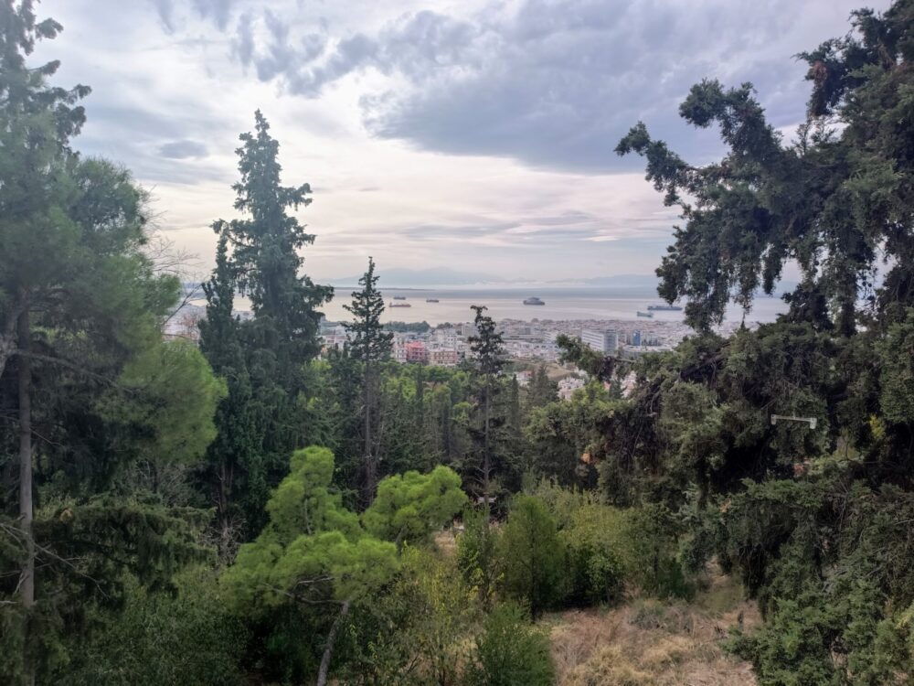 Θεσσαλονίκη: Απαγόρευση κυκλοφορίας στο Σέιχ Σου