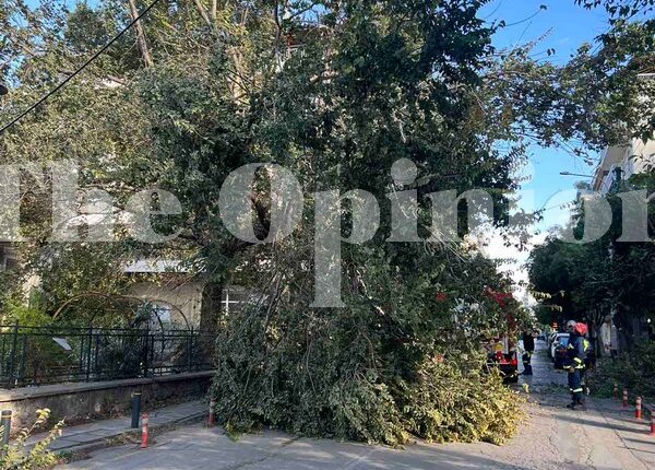 Θεσσαλονίκη: Έπεσε κολώνα της ΔΕΗ κοντά στο αεροδρόμιο – Πτώσεις δέντρων και σε άλλες περιοχές