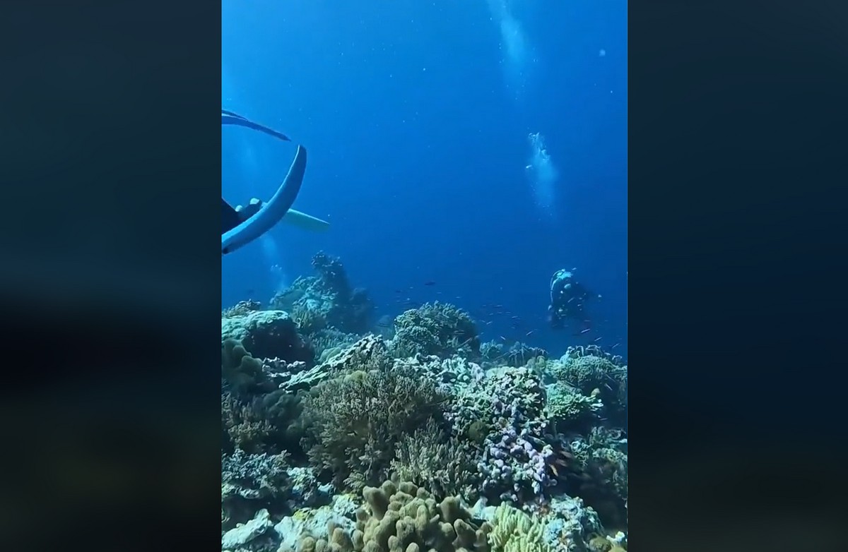 Τι συμβαίνει στο βυθό της θάλασσας όταν χτυπά ο εγκέλαδος (VIDEO)