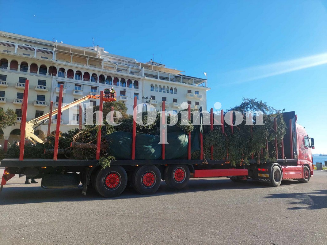 Θεσσαλονίκη: Στην Πλατεία Αριστοτέλους το χριστουγεννιάτικο δέντρο από το Παλαιοχώρι (ΦΩΤΟ+VIDEO)