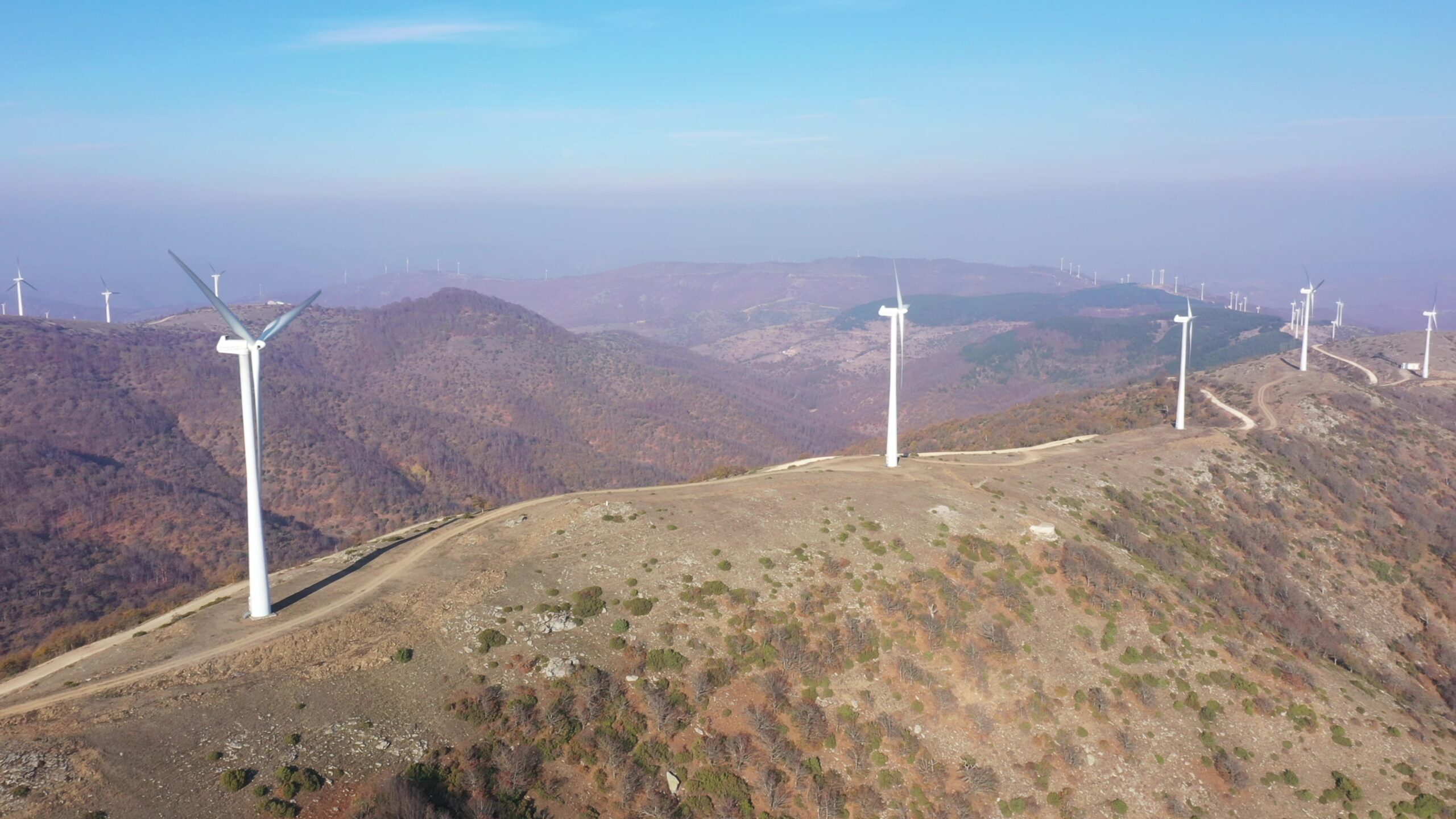 «Ακόμα χωρίς μέτρα προστασίας, τα καμένα οικοσυστήματα στον Έβρο!»