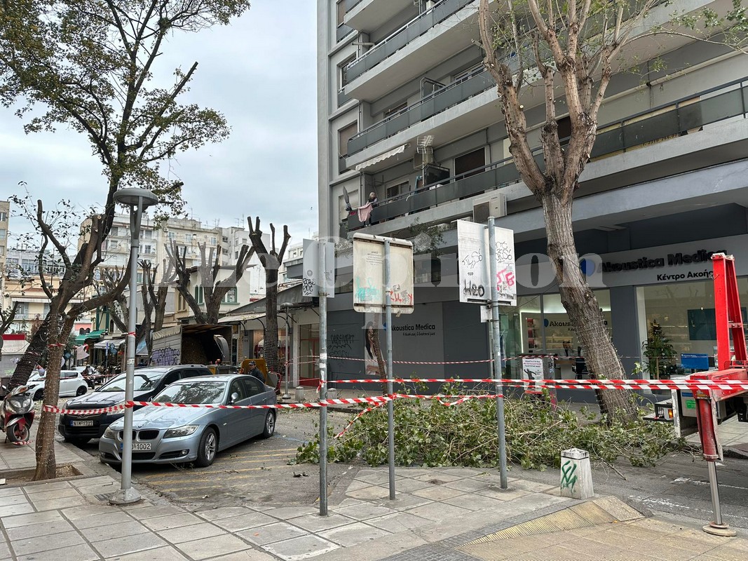 Νέες κλαδεύσεις δέντρων στη Θεσσαλονίκη – «Δεν θέλουμε να εξοντώσουμε την πόλη» (ΦΩΤΟ)