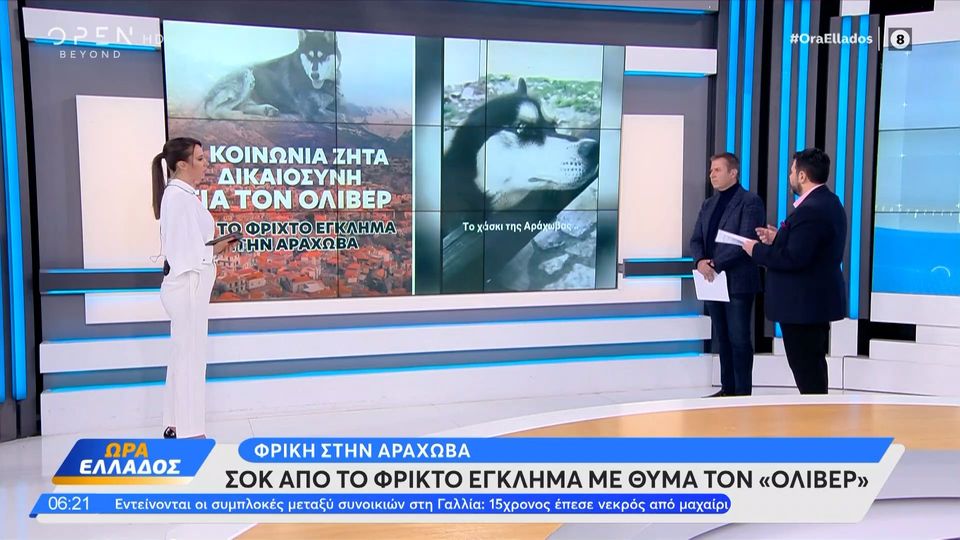 Δημοσιογράφος του OPEN «λύγισε» για την κακοποίηση του σκύλου στην Αράχωβα (VIDEO)