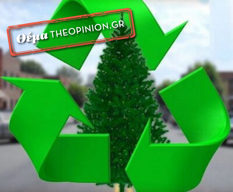 Πού… πάνε τα χριστουγεννιάτικα δέντρα όταν τα πετάμε;