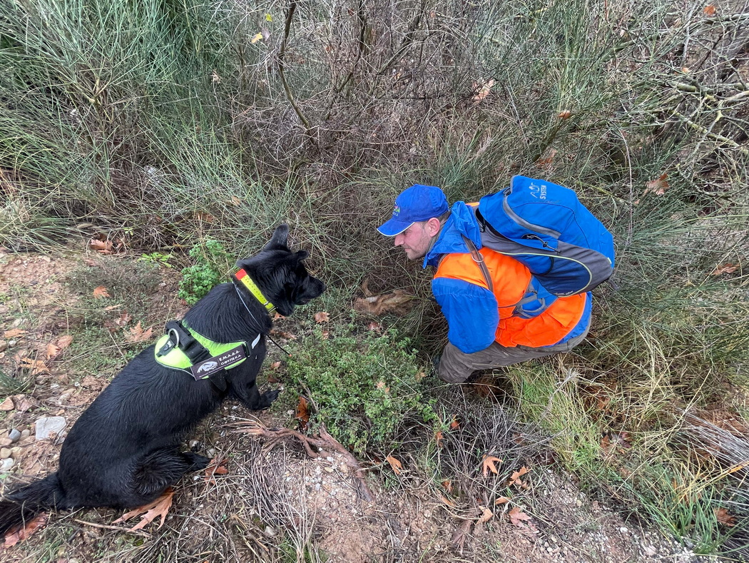 Άγρια ζώα πέθαναν από φόλες – Περιστατικά σε όλη την Ελλάδα