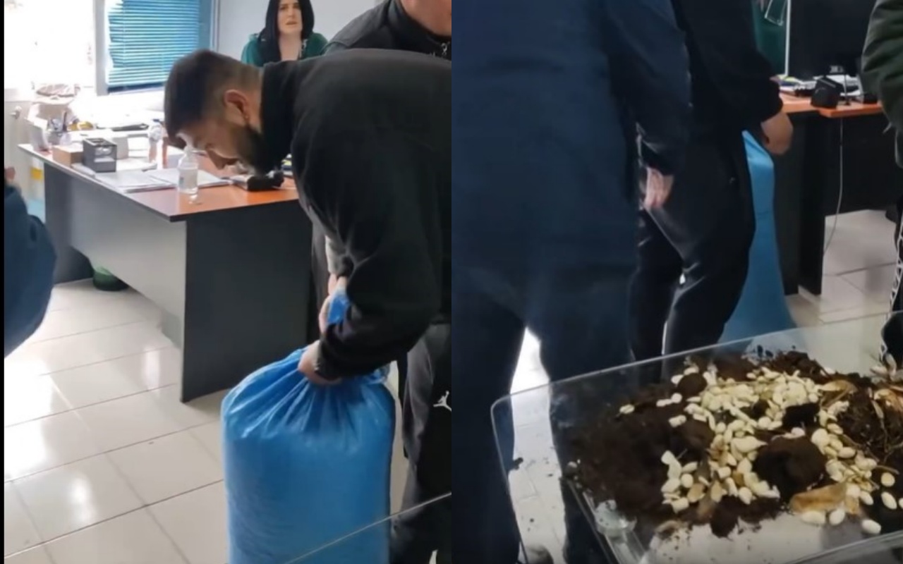 Αγρότες «σκόρπισαν»… κοπριά στο γραφείο βουλευτή της ΝΔ (VIDEO)