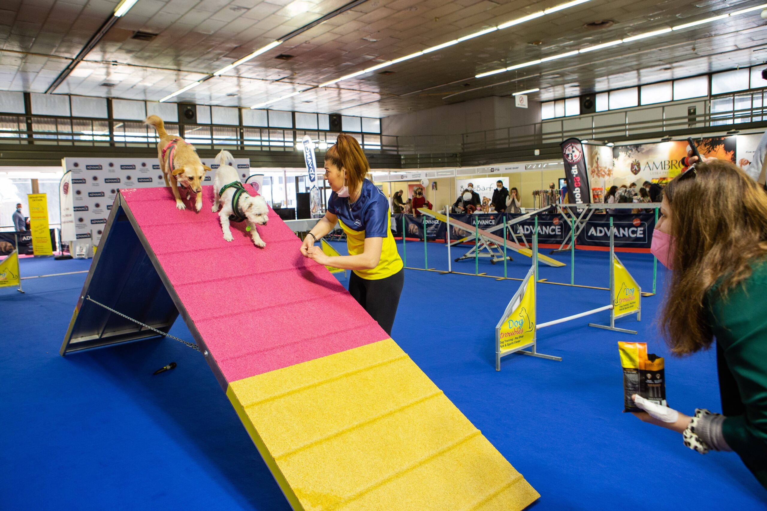 Έρχεται διήμερο φεστιβάλ για σκύλους στη Θεσσαλονίκη (audio)